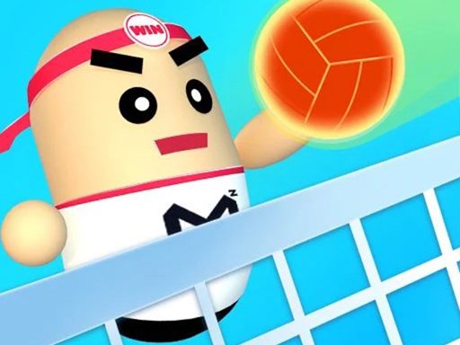 3D Amazing VolleyBall Online