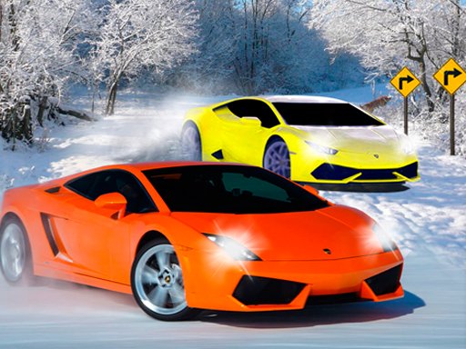 Snow Track Racing 3D Online